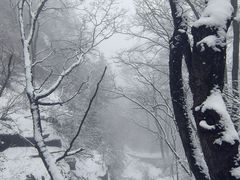 -华山风景名胜区