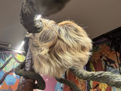 -正佳雨林生态植物园