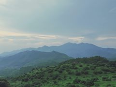 -广州市石门国家森林公园
