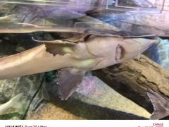 -沈阳海洋探索中心