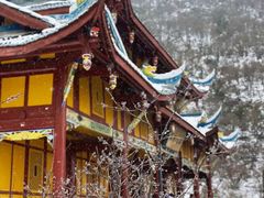 -黄龙山原始森林景区