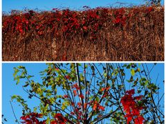 -周口店坡峰岭风景区