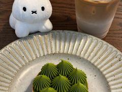 -猫里有甜