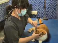 -瑞鹏宠物医院·内科·中兽医·骨科(苗圃店)