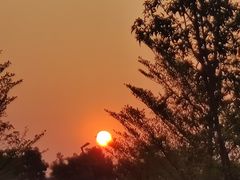 -南山图书馆(常兴路店)