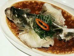 -至潮餐厅精致粤菜·活鲈鱼·走地鸡(珠江新城店)