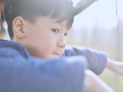 -合肥滨湖国家森林公园