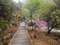 -百杖潭景区