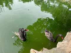 -石家庄市动物园