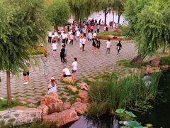 -长春市南湖公园