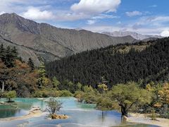 -黄龙山原始森林景区