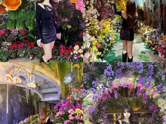 -正佳雨林生态植物园