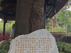 -峨眉山报国寺