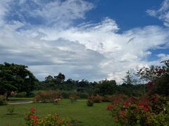 -中国科学院西双版纳热带植物园