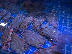 -渔民船说·北塘海鲜·天津菜·海肠捞饭(北塘古镇店)