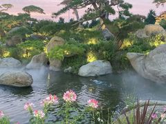 -罗红摄影艺术馆