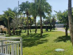 -三亚亚龙湾金棕榈度假酒店