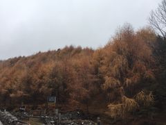 -硗碛藏寨·神木垒景区