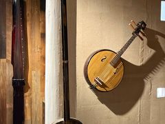 -宣科纳西古乐·非遗音乐(大水车店)