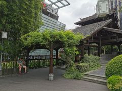 -活水公园