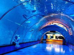 -海合安青岛极地海洋公园