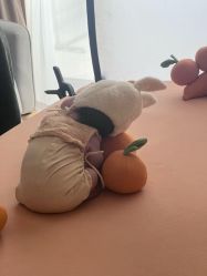 -乐茵敔山湾月子中心(独栋湖景店)