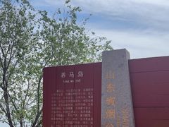 -养马岛旅游度假区