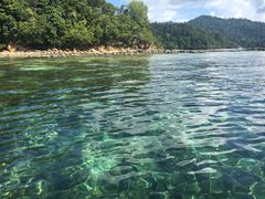 -东姑阿都拉曼海洋公园