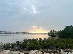 -宝安西湾红树林湿地公园