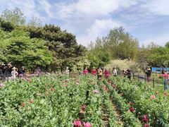 -国家植物园南园