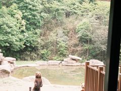 -杭州野生动物世界