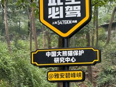 -中国大熊猫保护研究中心雅安碧峰峡基地