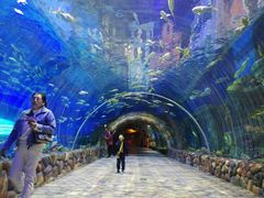 -华夏文旅海洋公园