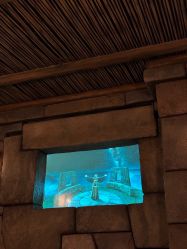 -翱翔飞越地平线