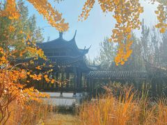 -北宫国家森林公园