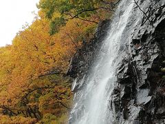 -龙道沟景区