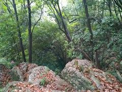 -玉女潭景区