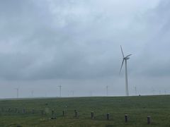 -白老大羊杂碎稍麦