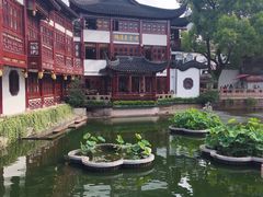 -豫园湖心亭茶楼