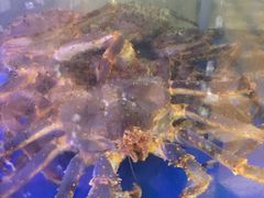 辣炒帝王蟹-蟹之国·精品蟹料理(极地店)