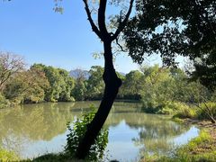 -西溪国家湿地公园