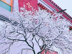-塔尔寺