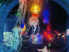 -太平洋海底世界