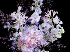 -Flower in(密渡桥店)