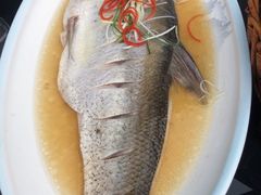 -旺山·浪头人家