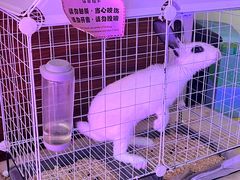 -牡丹江世茂假日酒店