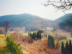 -棒棰岛宾馆景区