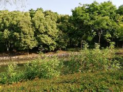 -尚贤河湿地