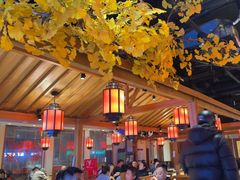 -鸽子窝(黄村店)