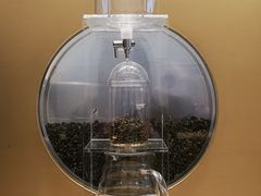 -喜茶(永旺梦乐城店)